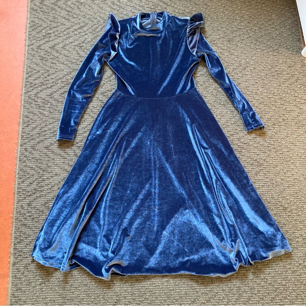Ivy City Co Velvet La La Lady Long Sleeve Blue Ruffle Dress M